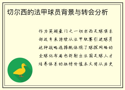 切尔西的法甲球员背景与转会分析